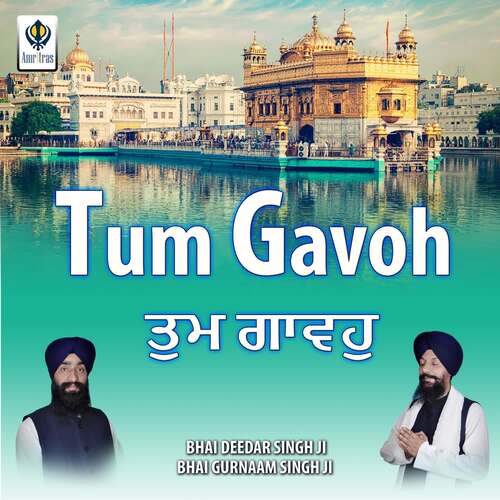 Tum Gavoh