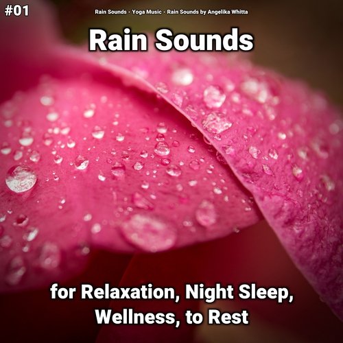 Rain Sounds to Fall Asleep cover art