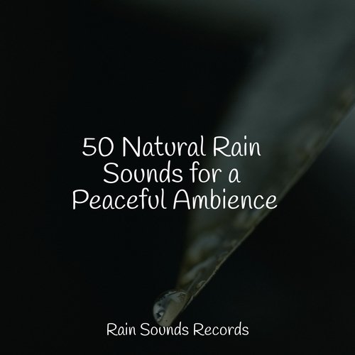 50 Natural Rain Sounds for a Peaceful Ambience