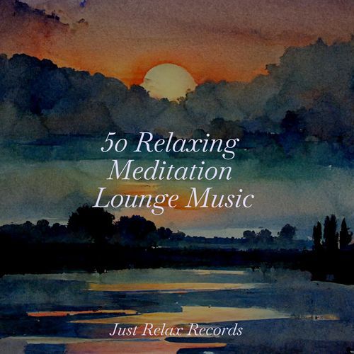 50 Relaxing Meditation Lounge Music