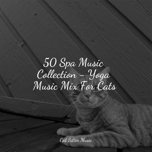 50 Spa Music Collection - Yoga Music Mix For Cats