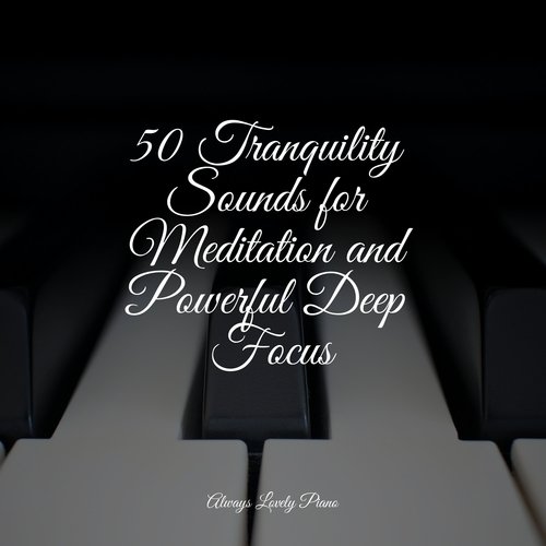 50 Tranquility Sounds for Meditation and Powerful Deep Focus_poster_image