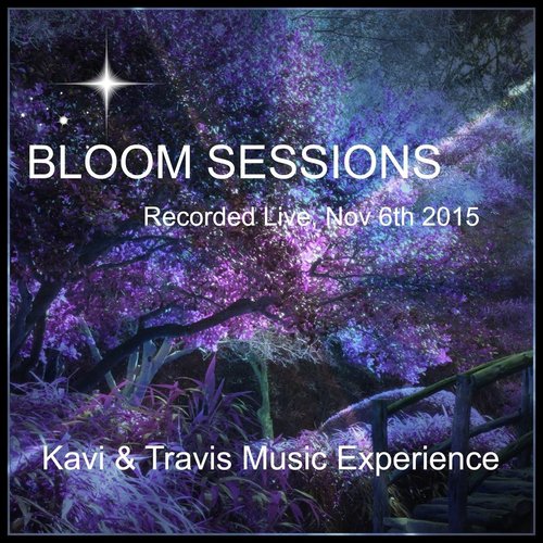 Bloom Sessions_poster_image