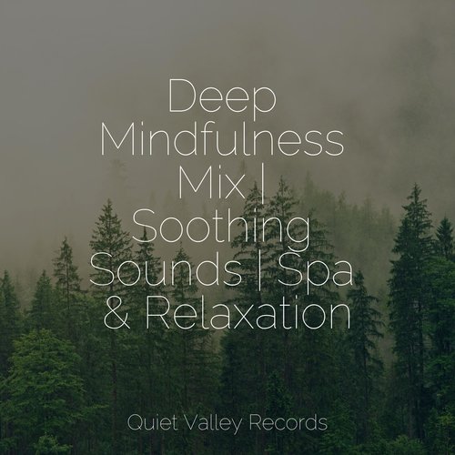 Music for Meditation cover art