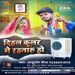 Dihal Kular Me Rahataru Ho (Jai Bhim Song)