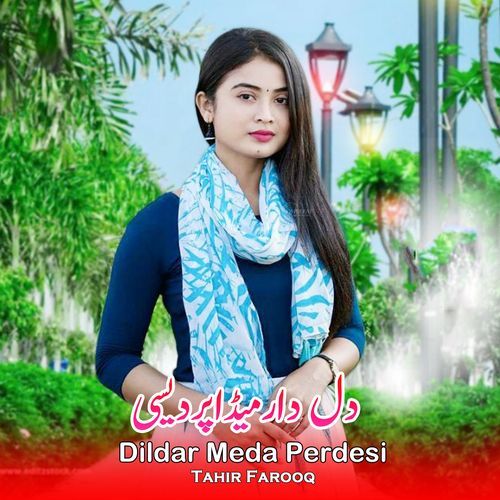 Dildar Meda Perdesi