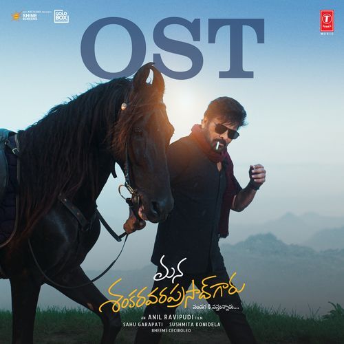 Venky Mass Entry cover art