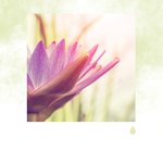 Conscience Mentale de la Terre