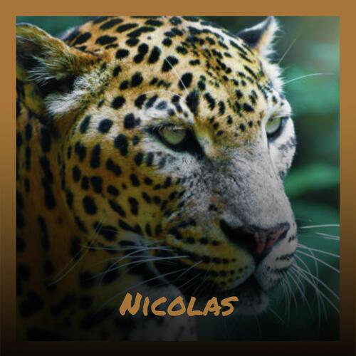 Nicolas cover art