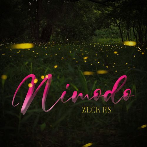 Nimodo cover art