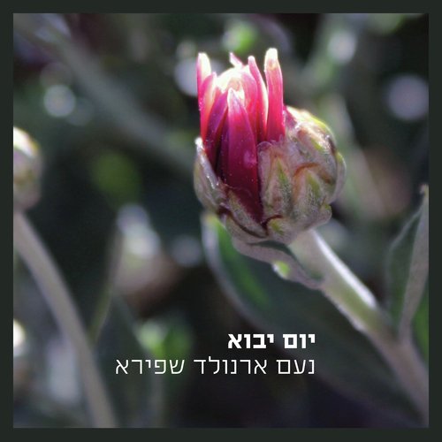 יום יבוא_poster_image