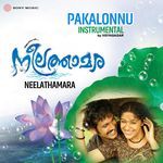 Pakalonnu (Instrumental)