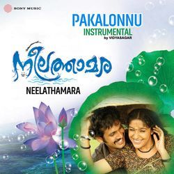 Pakalonnu (Instrumental)