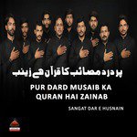 Pur Dard Musaib Ka Quran Hai Zainab