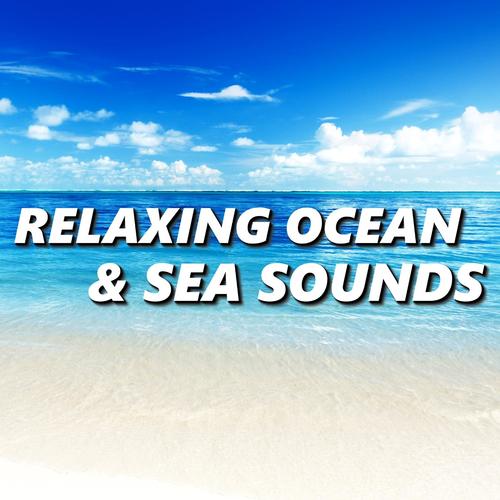 Relaxing Ocean & Sea Sounds