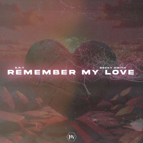 Remember My Love_poster_image