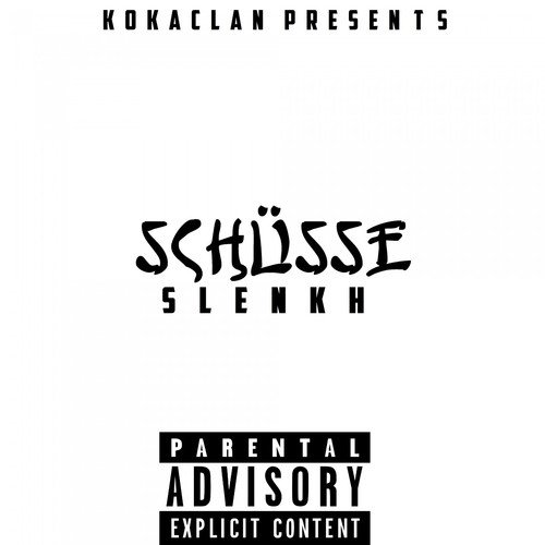 Schüsse cover art