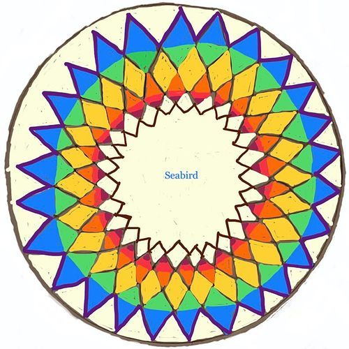 Seabird cover art