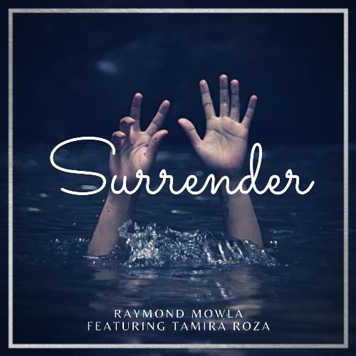 Surrender cover art