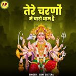 Tere Charno Mein Charo Dham Hai