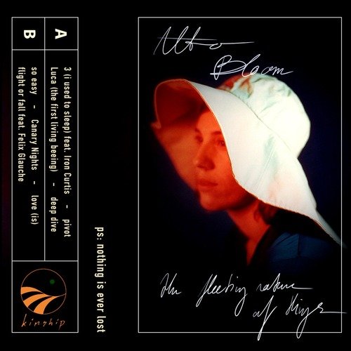 Luca cover art