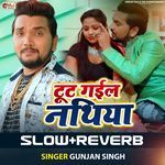 Toot Gaile Nathiya Lofi