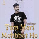 Dil Me to Hain