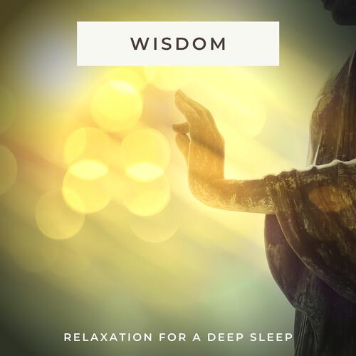 Wisdom Meditation cover art