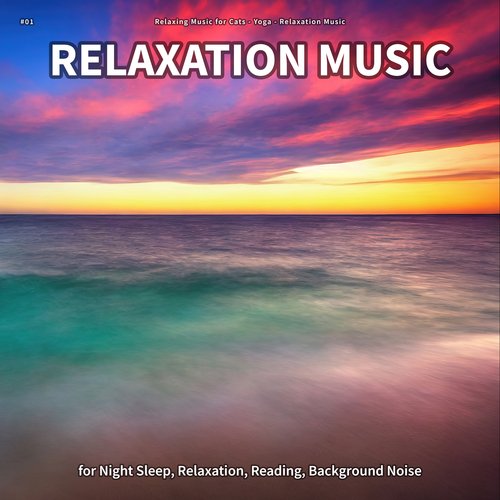 #01 Relaxation Music for Night Sleep, Relaxation, Reading, Background Noise_poster_image