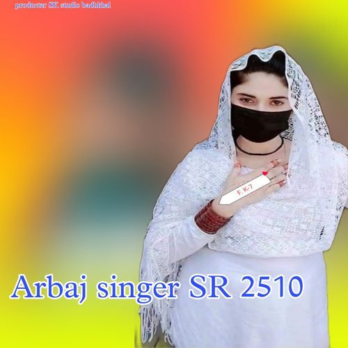 Arbaj Singer Sr 2510