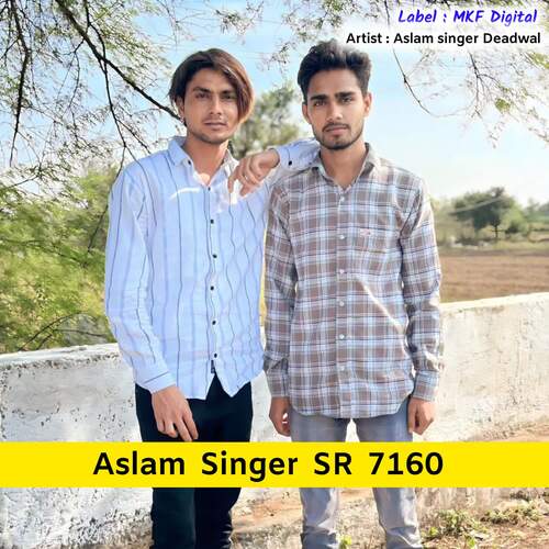 Aslam Singer SR 7160