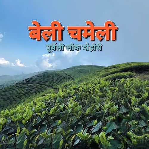 Beli Chameli