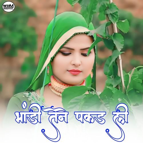 Bhandi Tene Pakadli