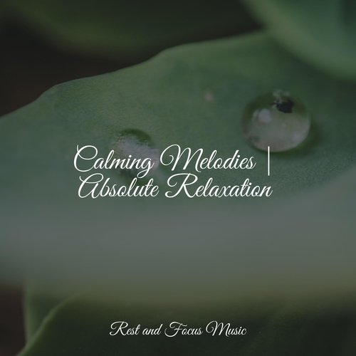 Calming Melodies | Absolute Relaxation