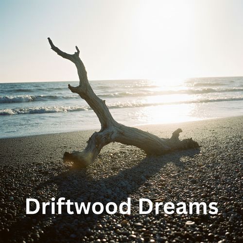 Driftwood Dreams