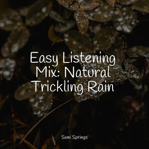 Easy Listening Mix: Natural Trickling Rain_poster_image