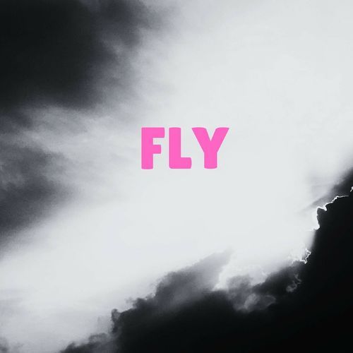Fly