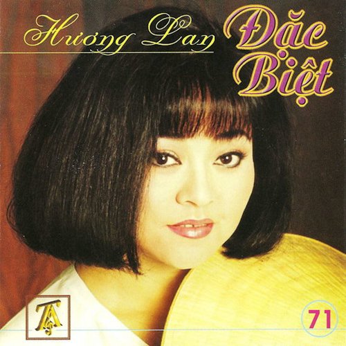 Nén Hương Yêu cover art