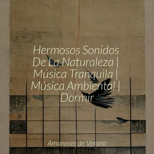 Retiro Tranquilo Brillante cover art