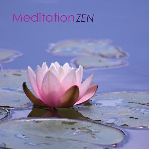 Learn to Meditate - Natural Soundscapes