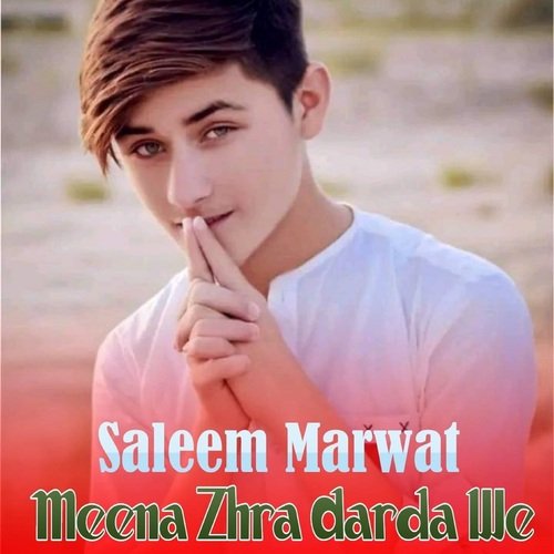 Meena Zhra Darda We