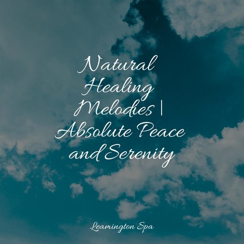 Natural Healing Melodies | Absolute Peace and Serenity