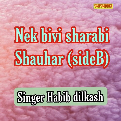 Nek bivi sharabi shauhar side B