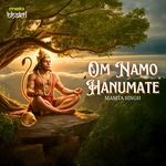 Om Namo Hanumate