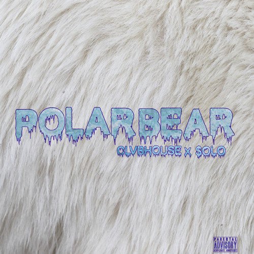 Polar Bear_poster_image