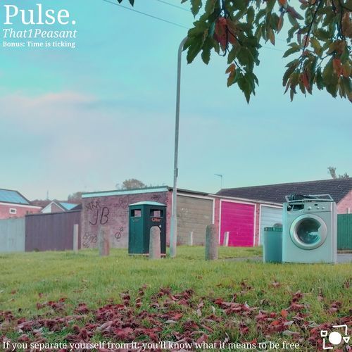 Pulse. (First Edition)