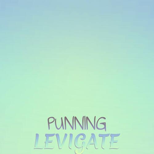 Punning Levigate