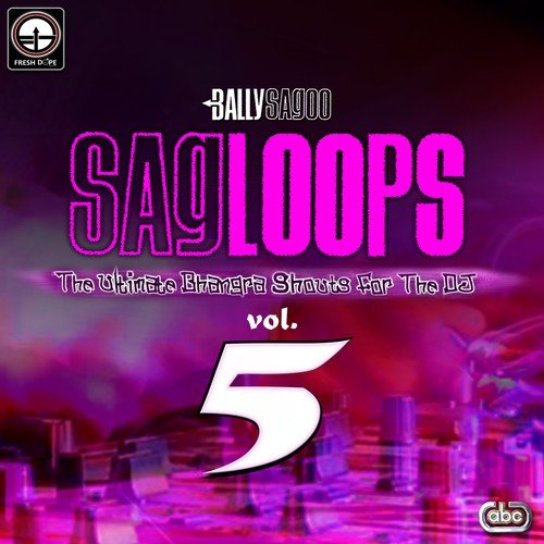 Sagloops Volume 5 - The Ultimate Bhangra Shouts For The Dj