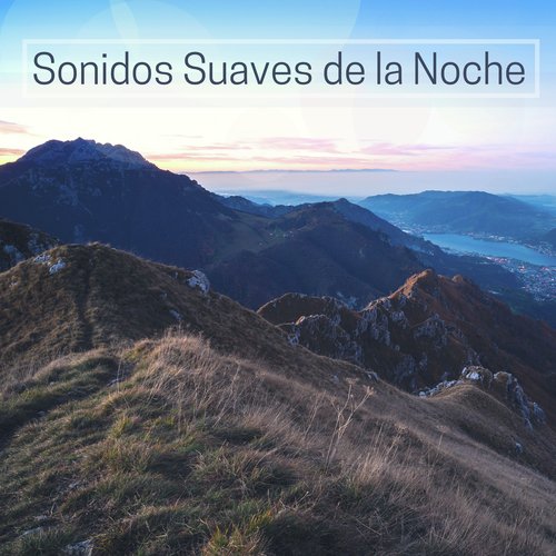 Dormir Mucho cover art