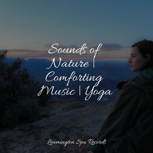 Sounds of Nature | Comforting Music | Yoga